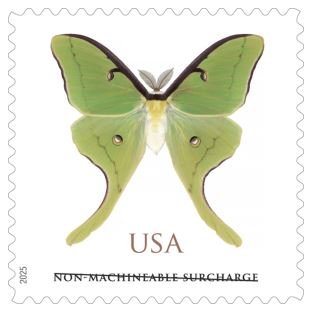 Luna Moth 2025- Non-machinable for Square Stamps Luna Moth 2025- Non-machinable for Square Stamps(Sheets) - Image 1