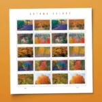 Autumn Colors 2024- USPS Forever Stamps（Sheets） - Image 2