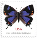 Colorado Hairstreak 2021- Non-machinable for Square Stamps（Sheets）