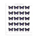 Colorado Hairstreak 2021- Non-machinable for Square Stamps（Sheets） - Image 2