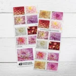Dahlias 2025- USPS Forever Stamps（Sheets） - Image 2