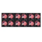 US Flags 2014 - USPS Forever Stamps（Books） - Image 2