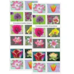 Garden Beauty 2021- USPS Forever Stamps（Books） - Image 2