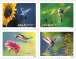 Garden Delight 2024- USPS Forever Stamps（Books）