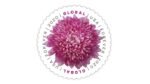 Global Chrysanthemum 2020- USPS Forever Stamps（50Pcs）