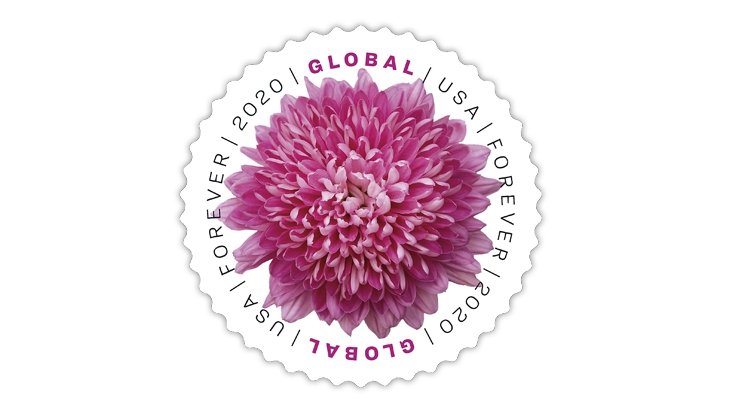 global-chrysanthemum-2020-forever-stamps-histamps Global Chrysanthemum 2020- USPS Forever Stamps(50Pcs) - Image 1