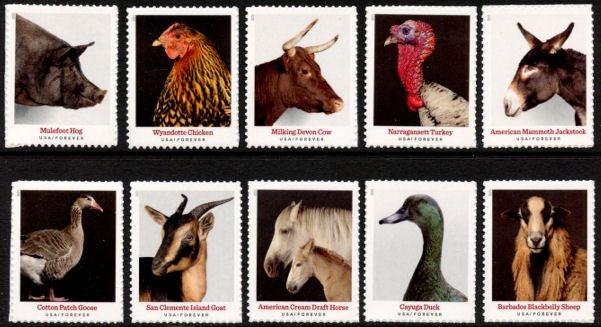 heritage-breeds-2021-forever-stamps-histamps (1) Heritage Breeds 2021- USPS Forever Stamps(Sheets) - Image 1