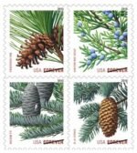 Holiday Evergreen 2010- USPS Forever Stamps（Books）