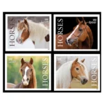 Horses 2024- USPS Forever Stamps（Sheets）