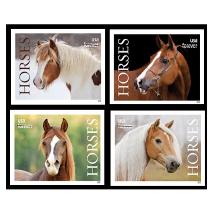 horses-2024-forever-stamps-histamps (1) Horses 2024- USPS Forever Stamps(Sheets) - Image 1