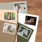 Horses 2024- USPS Forever Stamps（Sheets） - Image 2