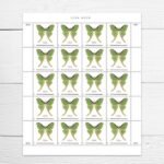 Luna Moth 2025- Non-machinable for Square Stamps（Sheets） - Image 2