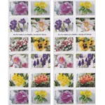 Snowy Beauty 2022- USPS Forever Stamps（Books） - Image 2
