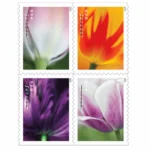 Tulip Blossoms 2023- USPS Forever Stamps（Books）