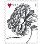 Vintage Rose 2015- USPS Forever Stamps（Sheets）