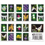 Wild Orchids 2020- USPS Forever Stamps（Books）