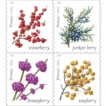 Winter Berries 2019- USPS Forever Stamps（Books）